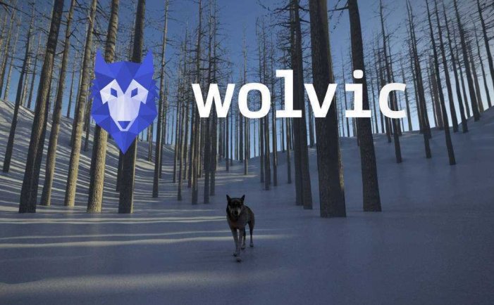 狼浏览器- Meta Quest游戏