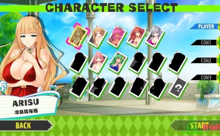 扑克美女：德州扑克for Switch 中文版