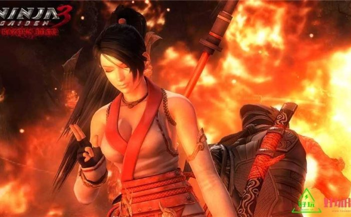 忍者龙剑传3for Switch 中文版