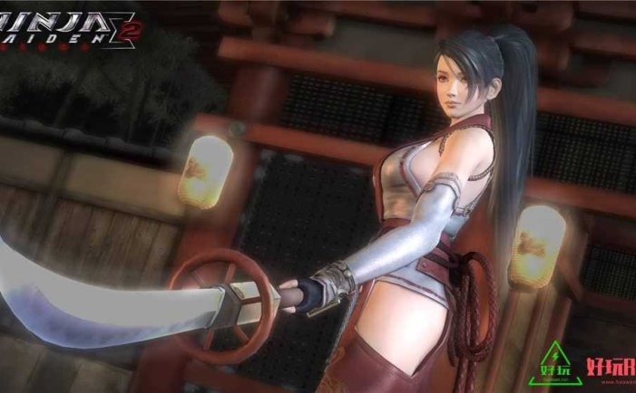 忍者龙剑传2for Switch 中文版