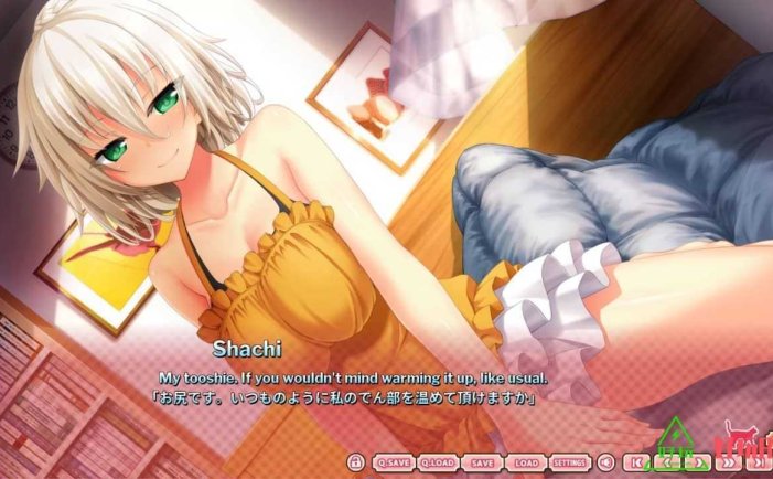 任天堂Switch-野良与皇女与流浪猫之心2 中文版-xci游戏下载