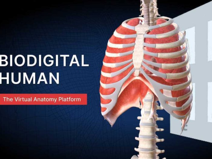 生物数字人- Meta Quest游戏