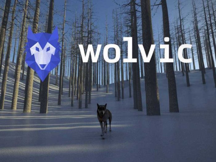 狼浏览器- Meta Quest游戏