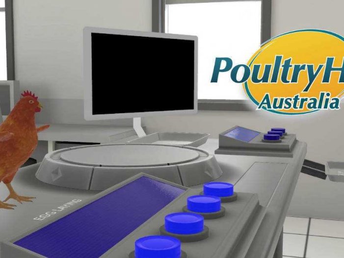 小鸡的解剖- Meta Quest游戏