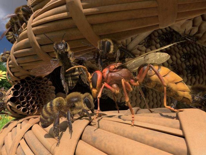 蜜蜂VR- Meta Quest游戏