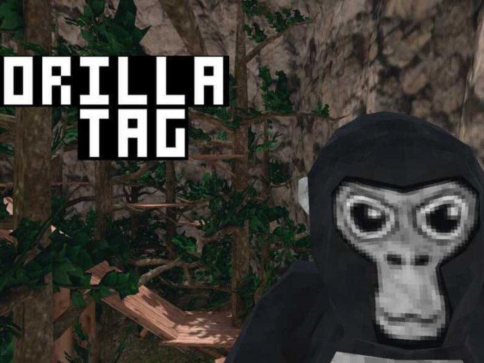 大猩猩- Oculus Quest游戏